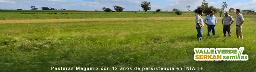 Promoción Valle verde